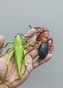 Toy Bugs Set 6pieces.