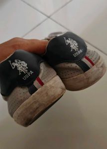 US Polo Assn. Grey Sneakers