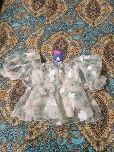 Sheer Floral Puff Sleeve Top