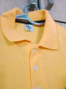 New Polo Neck Cotton Shirt for Men, Pack of 1