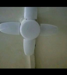 Fan Light