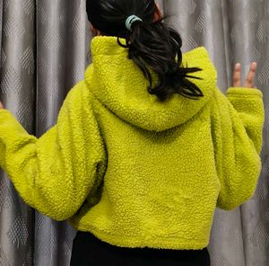 Cozy Teddy Fleece Cropped Hoodie