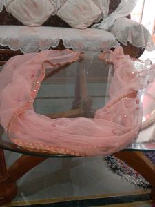 Peach Net Mirror Work Dupatta