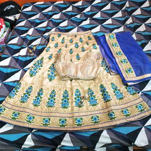 Beige Lehenga Choli with Blue Floral Embroidery