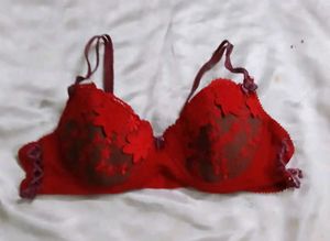 Red Lace Bra