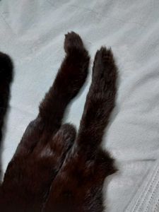 Mink Fur Scarf