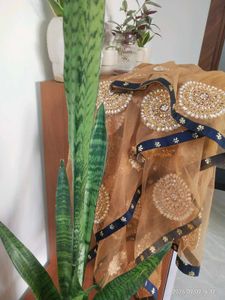 Embellished Net Dupatta