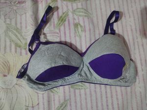 Comfortable Grey & Purple Bra 28B