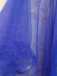 Royal Blue Net Dupatta with Silver Border