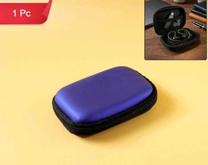 Durable Blue Mini Storage Case
