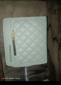 Charles & Keith Bag