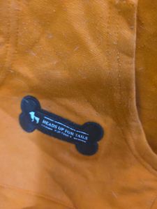 Orange Dog Hoodie