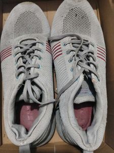 Comfortable Grey Sneakers