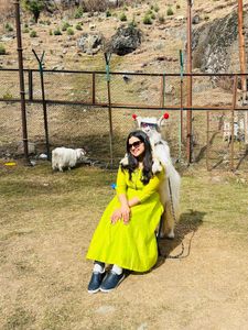 Vibrant Lime Green Kurta