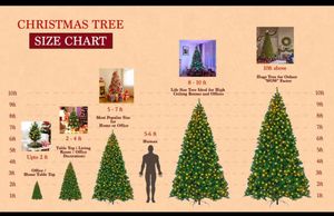 Cristmas Tree Without Decoration