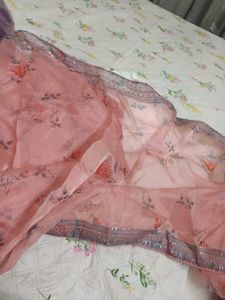 Peach Floral Saree with Embellished Border