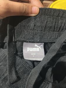 puma shorts