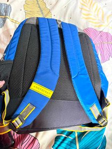 Blue Aristocrat Backpack