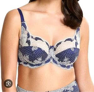 Beautiful Lace and Polka Dot Bra