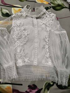 Elegant Lace Detail Sheer Sleeve Top