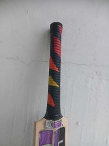 Kashmir Willow Bat Ss Knight Rider Edition