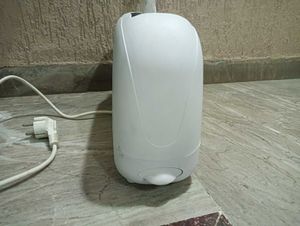 Girnar Toaster