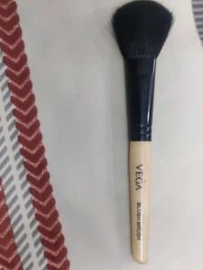 VEGA Blush Brush