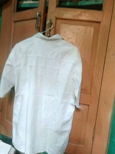 Classic White Short Sleeve Shirt
