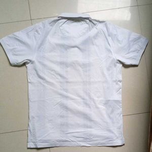 Colorplus Polo Tshirt For Men