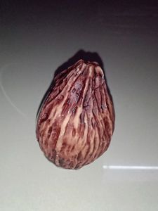 TABLE TOP PAPERWEIGHT VERYNICE COCONUT SHAPE CLOCK