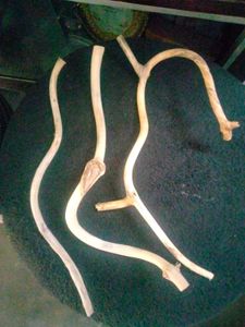 Drift Wood Pieces