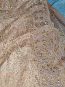 Elegant Peach Lace Saree with Gold Accents