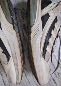Cream &amp; Black Lace-Up Sneakers