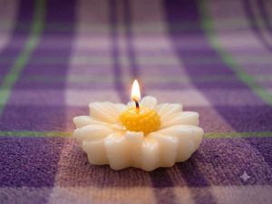 set of 2 Daisy Flower Scented Candles with free su