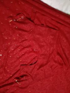 Elegant Red Embellished Saree