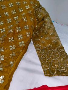 Designer organza pakistani suit