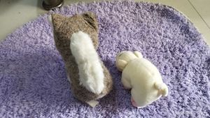 Stuffed Animal Duo: Husky &amp; Pig