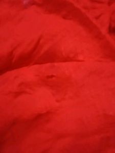 Red Embroidered Saree