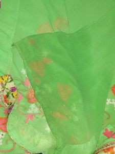 Beautiful Green Saree with Floral Embellishments