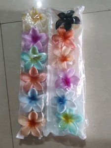 Flower Hair Clips - Set of 12