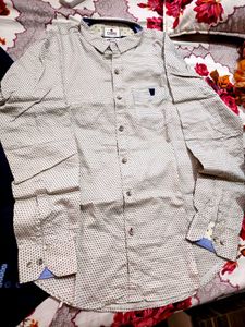Branded SHIRT Combo OF 3