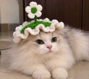 Handmade Crochet Flower hat for cats