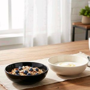 Stoneware Ceramic Bowls Set of 2