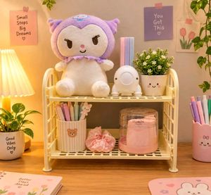 Double Layer Storage Organizer
