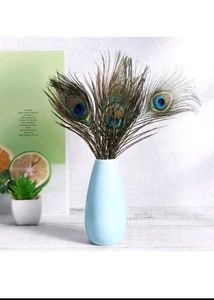 Elegant Peacock Feather Decor(8)