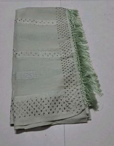 Elegant Light Green Embellished Saree
