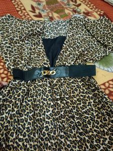 Leopard Print Fit &amp; Flare Dress