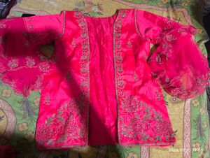 Stunning Pink Embroidered Lehenga Choli