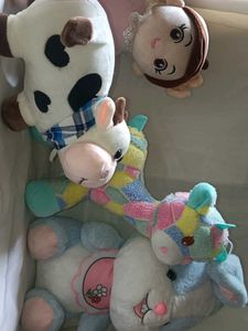 combo offer of 4 soft toy 🩷