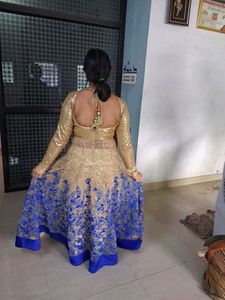 Elegant Ethnic Gown